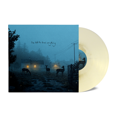 i’ve told the trees everything by Dermot Kennedy - LP - Exclusive Marble Vinyl - shop now at Universal Music store