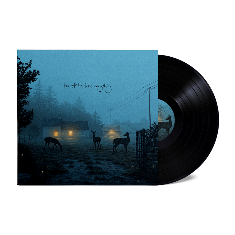 i’ve told the trees everything by Dermot Kennedy - LP - shop now at Universal Music store